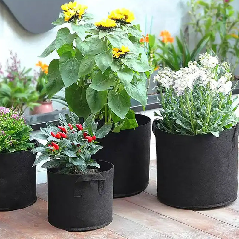 Pack of 10 Fabric Breathable Grow Pots Planter Bags with Handle