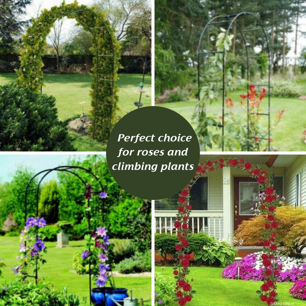 Garden Arch 2 pcs Climbing Plants