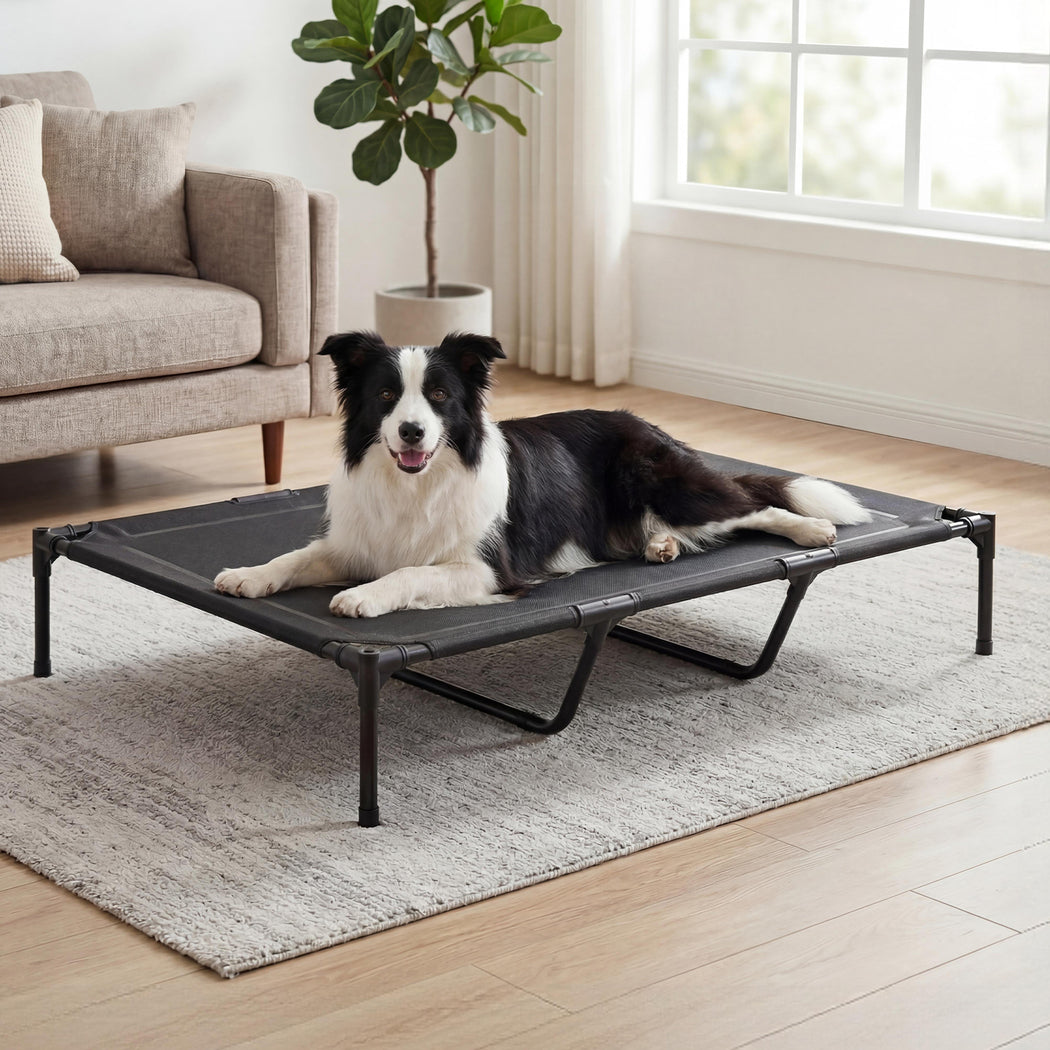 Pawz Elevated Dog Bed Heavy Duty Portable Cot Waterproof Pet Raised Bed XL Size-2065254305828573191
