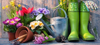 Home & Garden