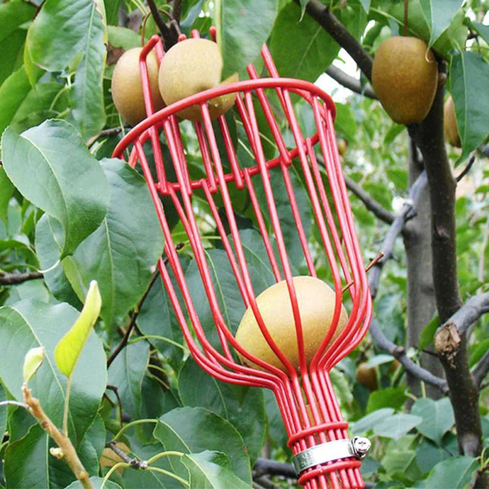 Easy-Pick Fruit Harvester Tool for Orchard and Garden