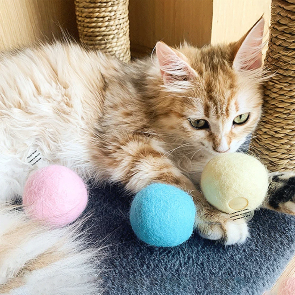 Interactive Electric Smart Cat Toy