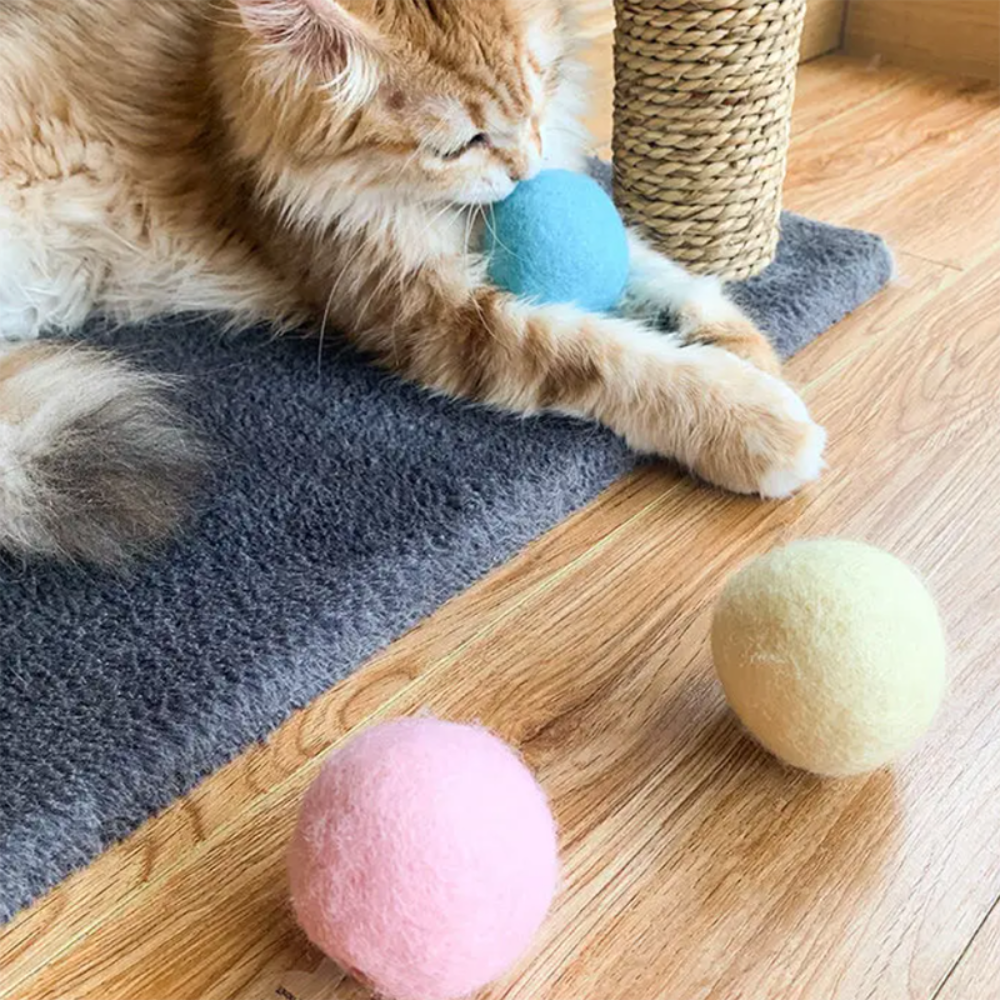 Interactive Electric Smart Cat Toy