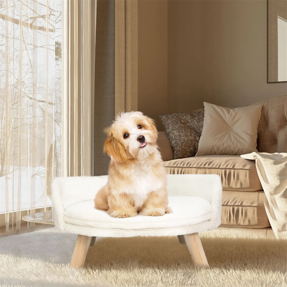 Plush Luxury Cat Bed with Cozy Cushion Pad