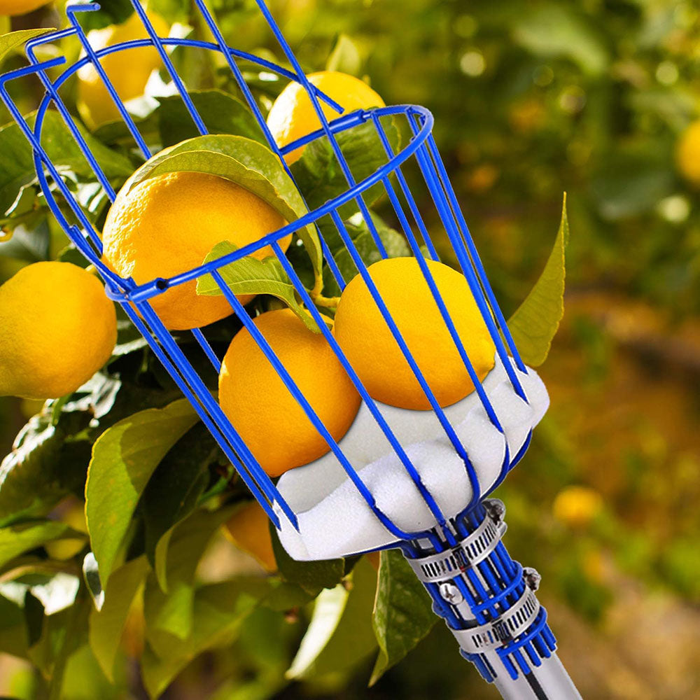 Deep Basket Fruit Picker Head Farm Picking Device Garden tools