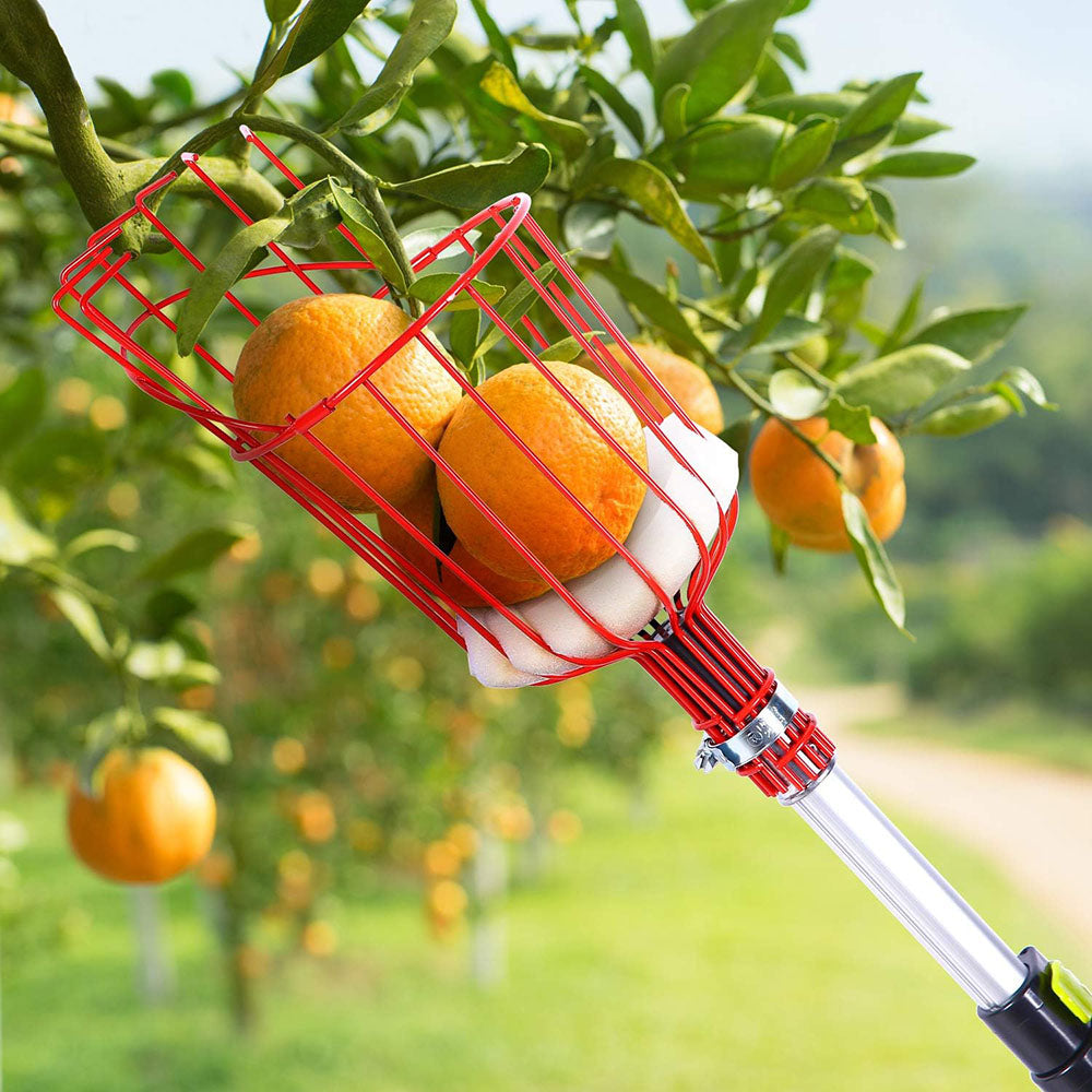 Deep Basket Fruit Picker Head Farm Picking Device Garden tools