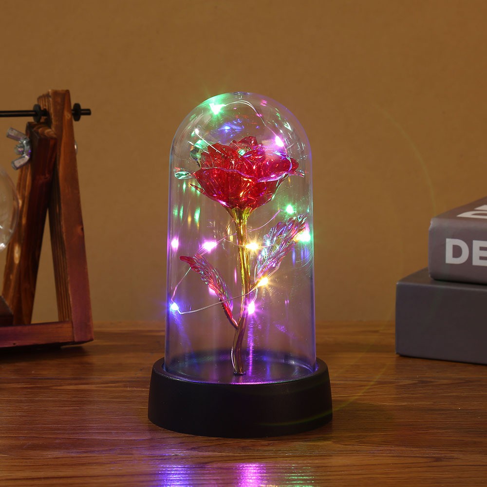 LED Eternal Beauty Rose With Fairy Lights in Dome