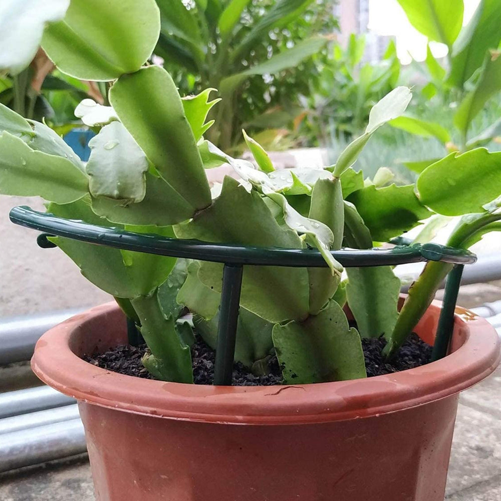 Plastic Plant Support Pile Frame Greenhouse Arrangement Flower Plant Vine Climbing Bracket