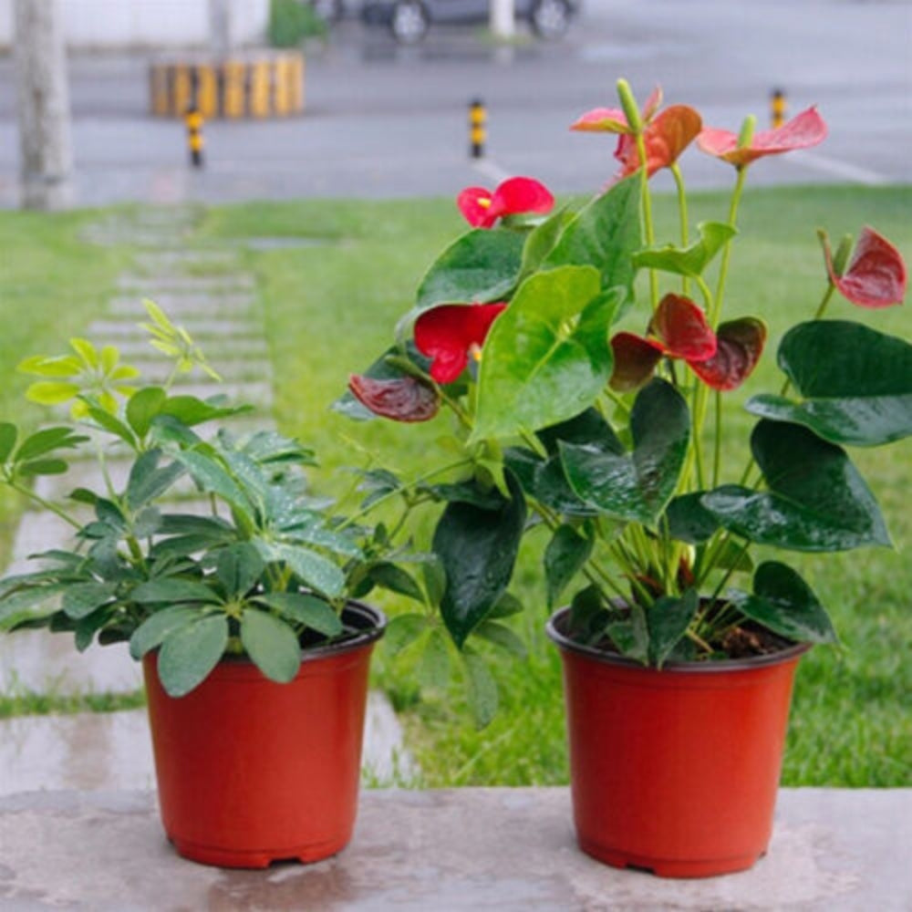 Plastic Garden Nursery Pots Mini Planters for Plants Flower Pot