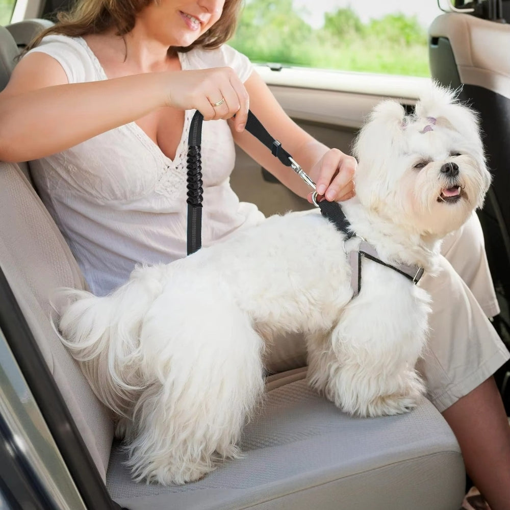 Adjustable Heavy Duty Dog Car Seat Belt with Striped Nylon Design