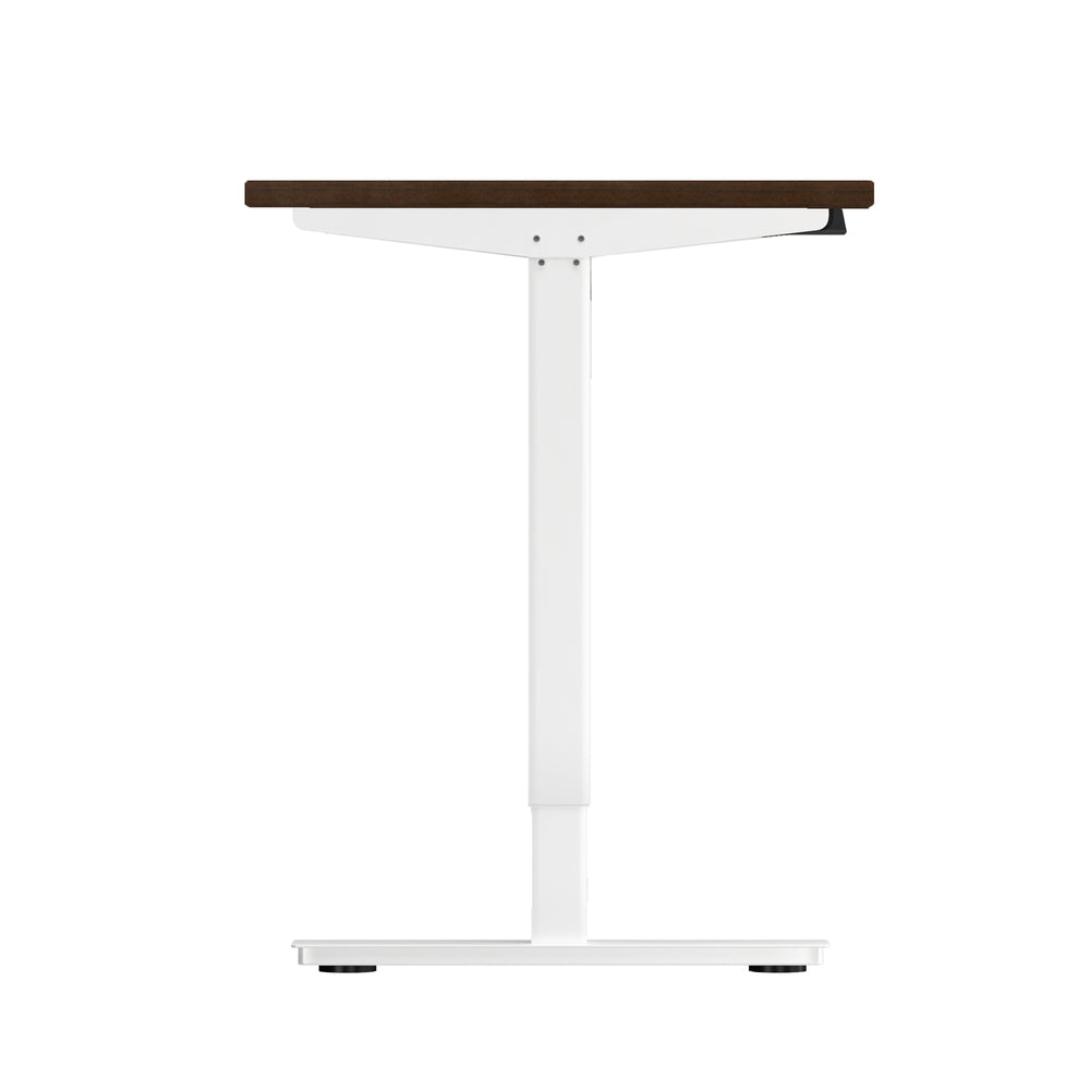 Electric Standing Desk with Single Motor 150cm White and Walnut
