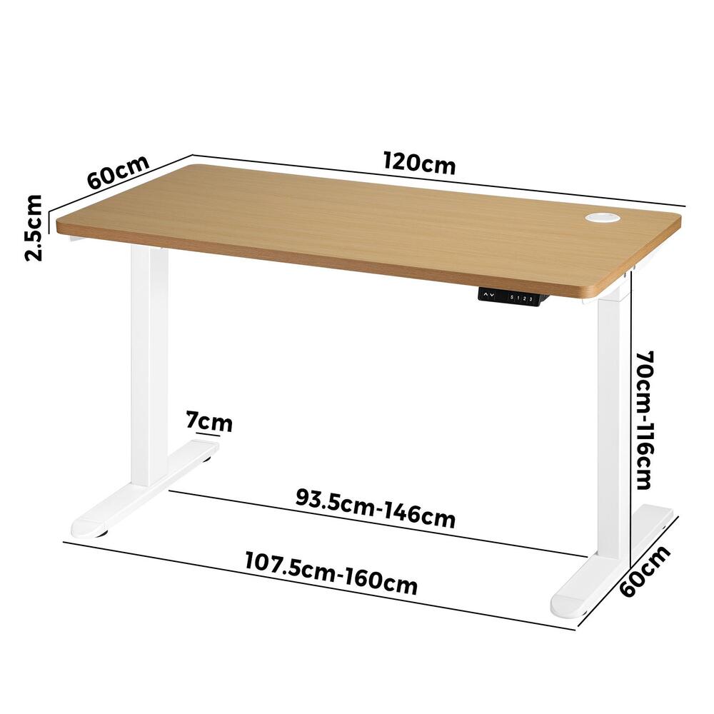 Standing Desk Dual Motor Adjustable 120cm White and Oak