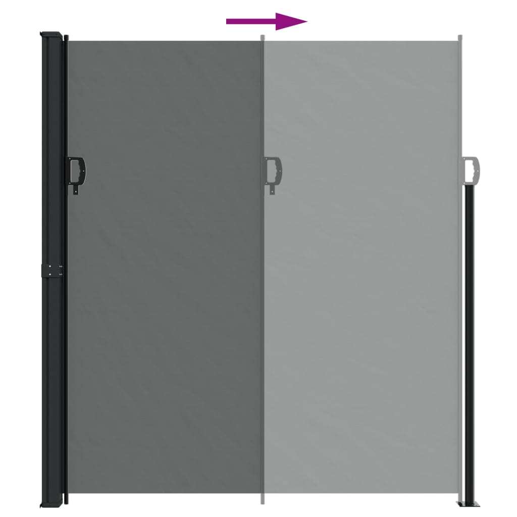 Retractable Side Awning Anthracite 220x300 cm