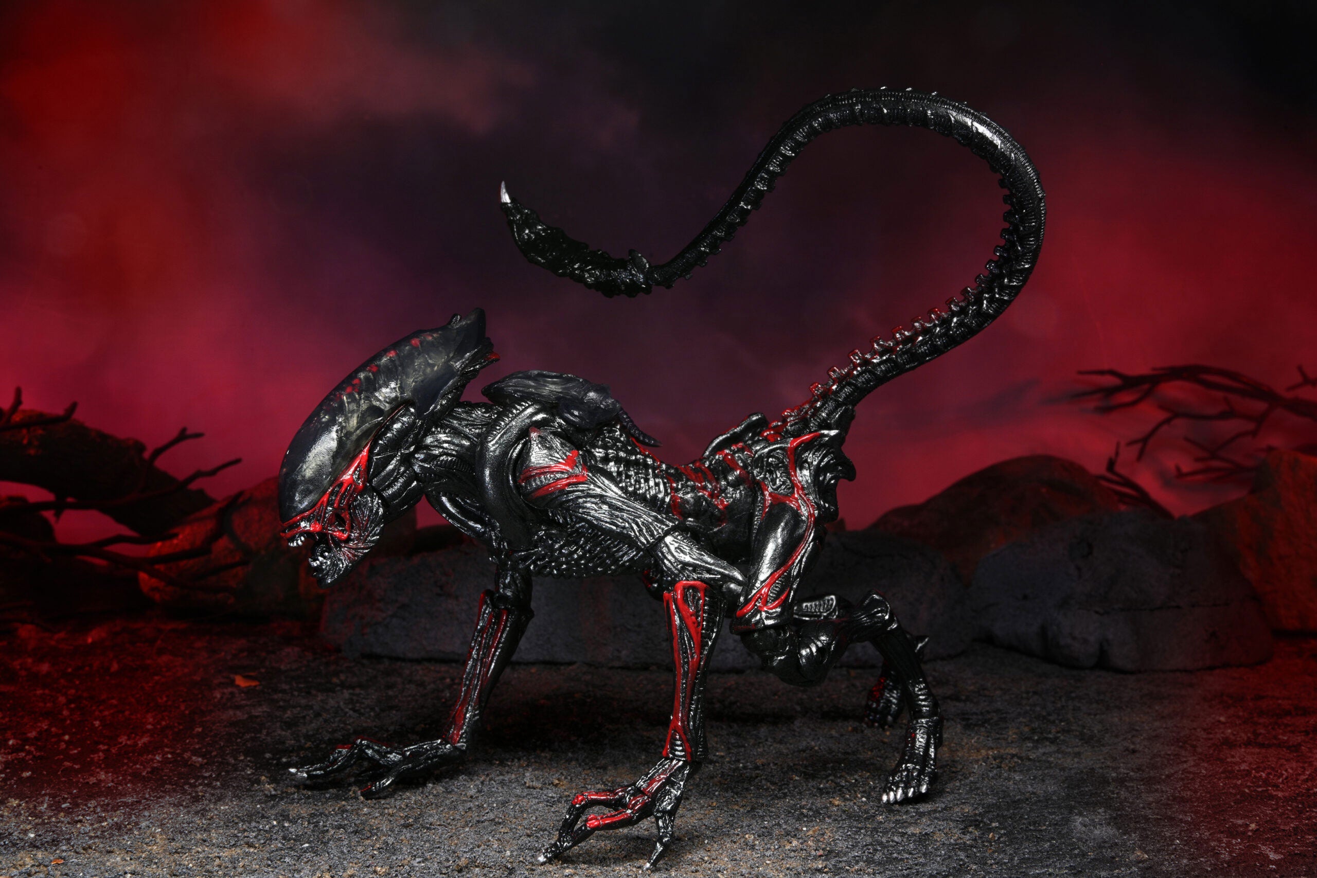 Aliens Night Cougar Kenner Tribute Action Figure 7” Scale with Drone Black