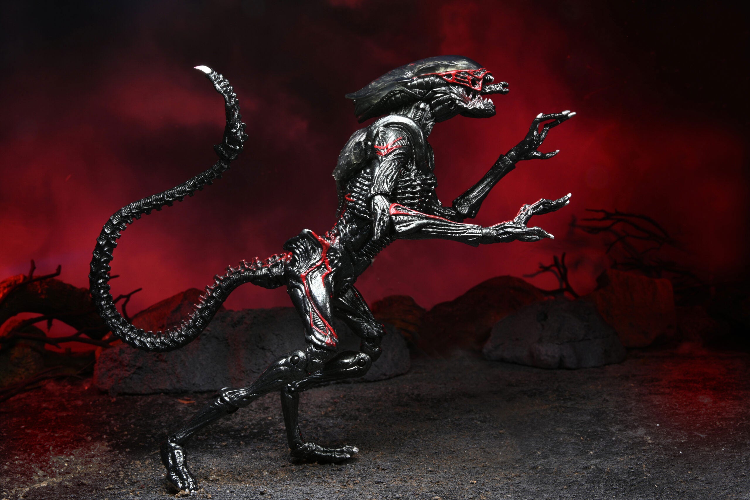Aliens Night Cougar Kenner Tribute Action Figure 7” Scale with Drone Black