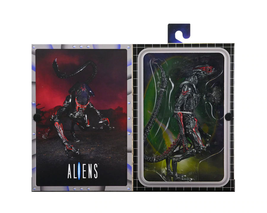 Aliens Night Cougar Kenner Tribute Action Figure 7” Scale with Drone Black