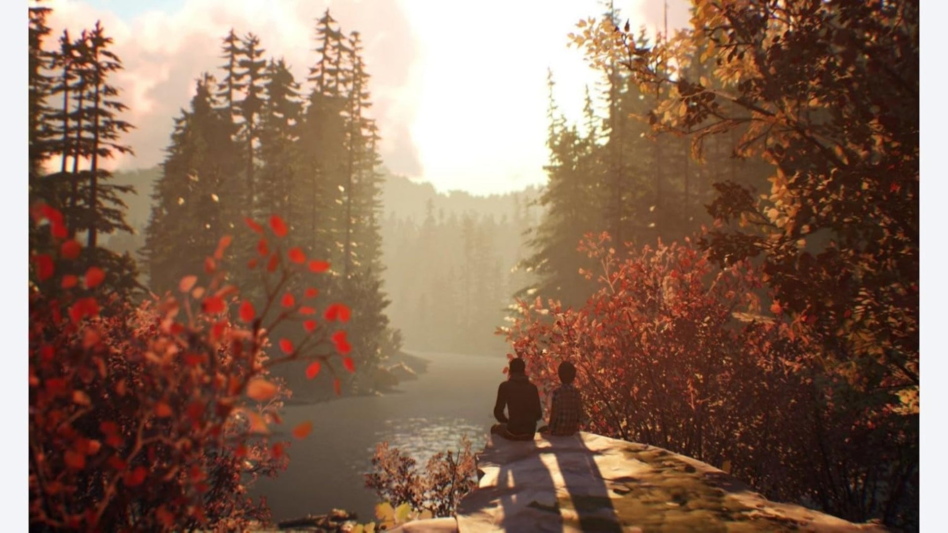 Square Enix Life Is Strange 2 (PS4)
