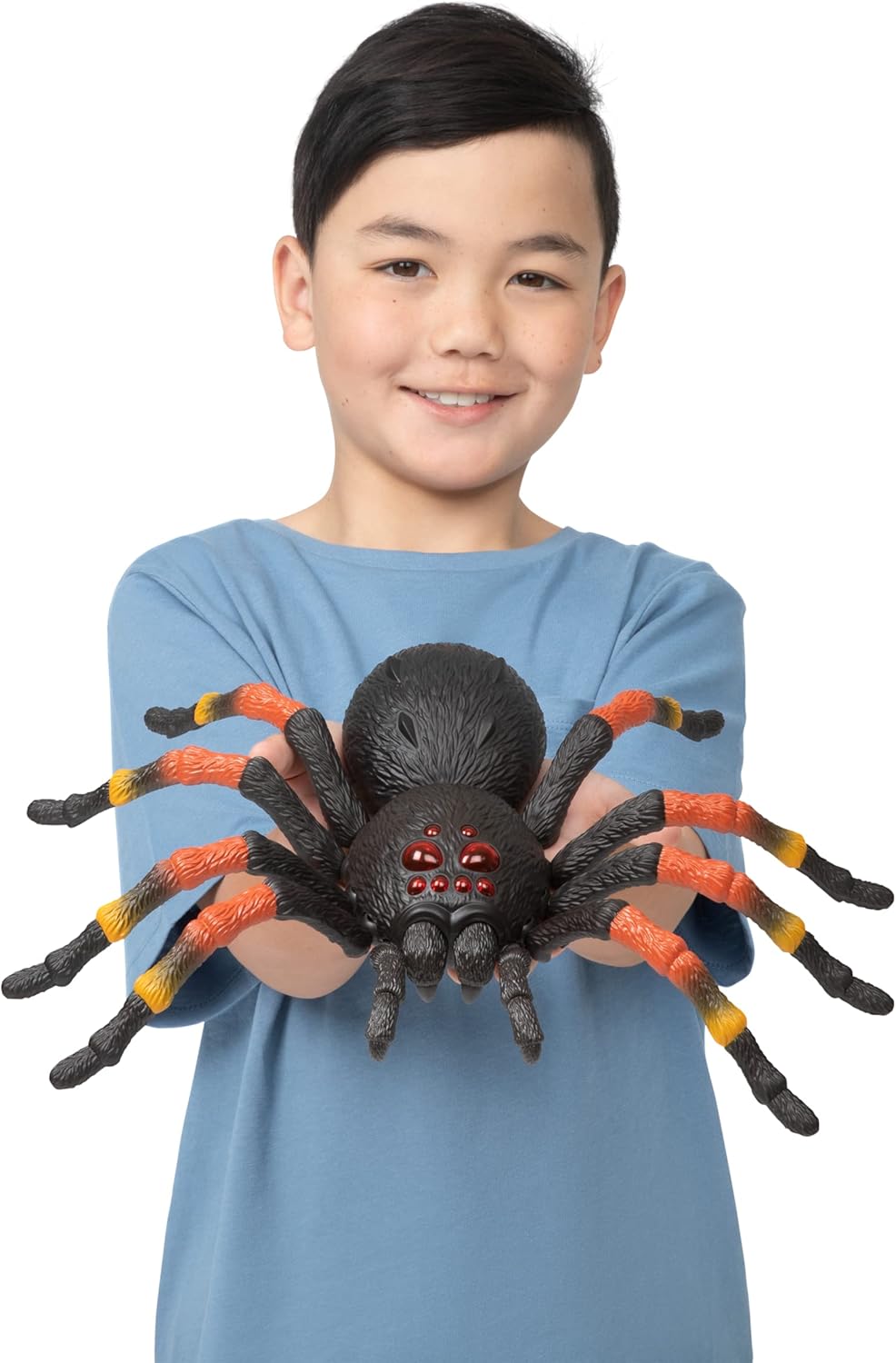 Robo Alive Zuru Giant Tarantula, Multicoloured (7170-S004)