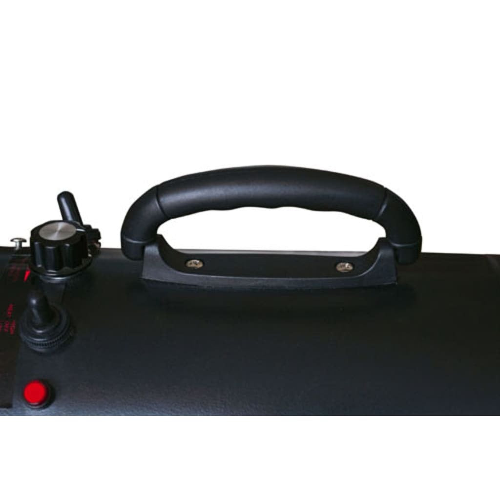 Dog Hair Dryer with 3 Nozzles Black 2400 W