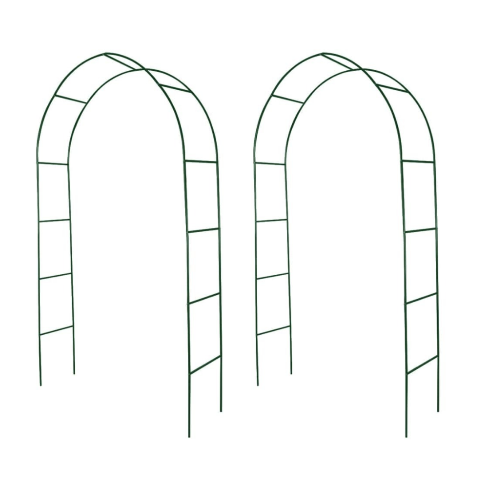 Garden Arch 2 pcs Climbing Plants