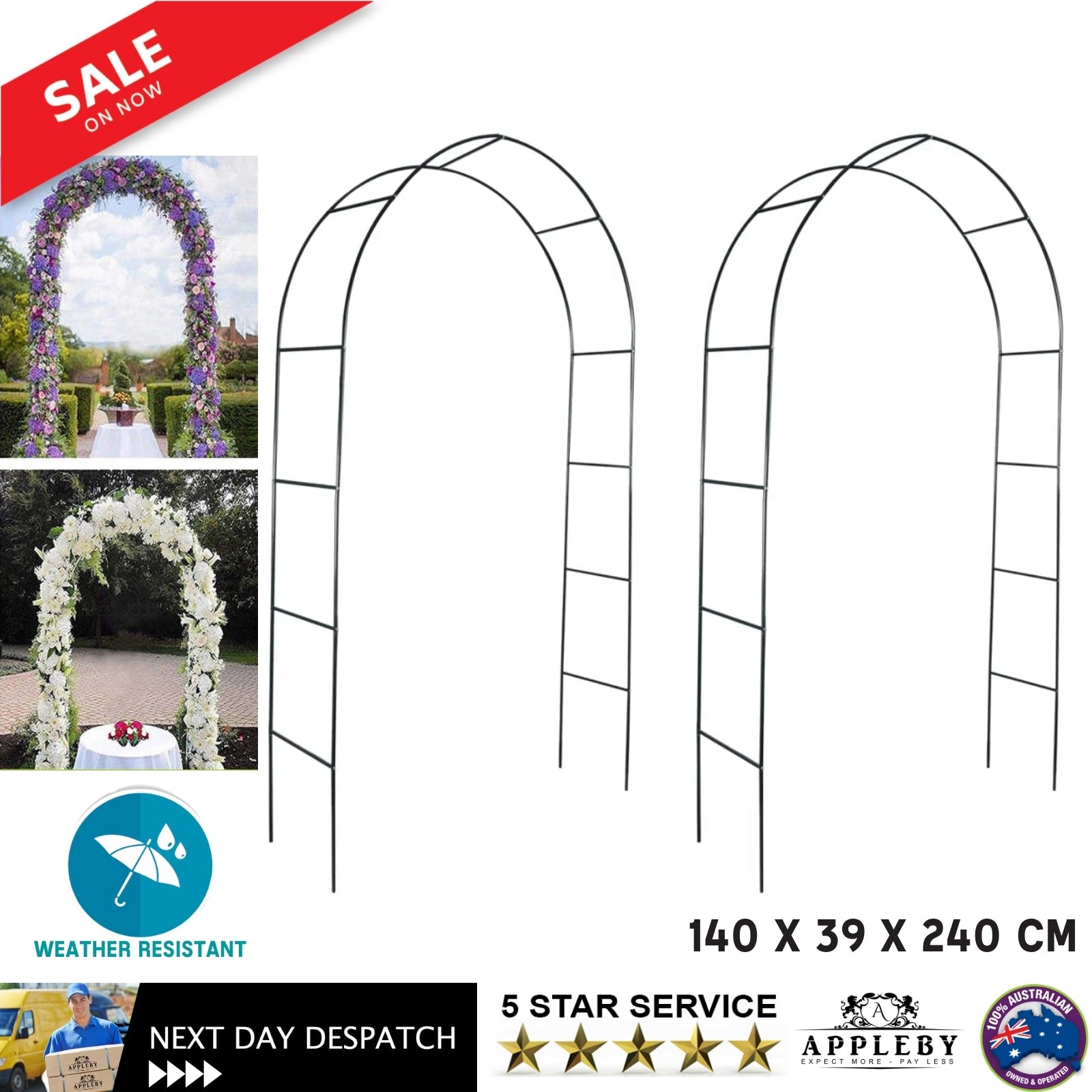 Garden Arch 2 pcs Climbing Plants