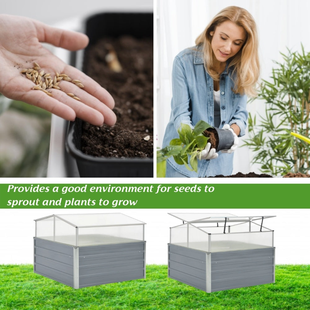 Greenhouse Cover Raised Garden Bed 100x100x85 cm Grey
