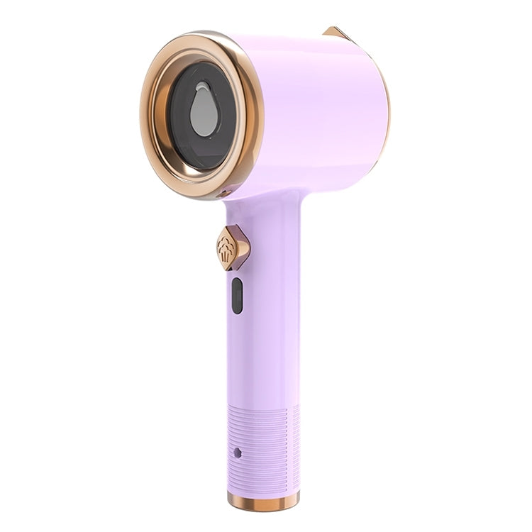 Handheld Clothes Steamer Iron Titanium Heat Plate Visual Water Tank Compact Travel Design