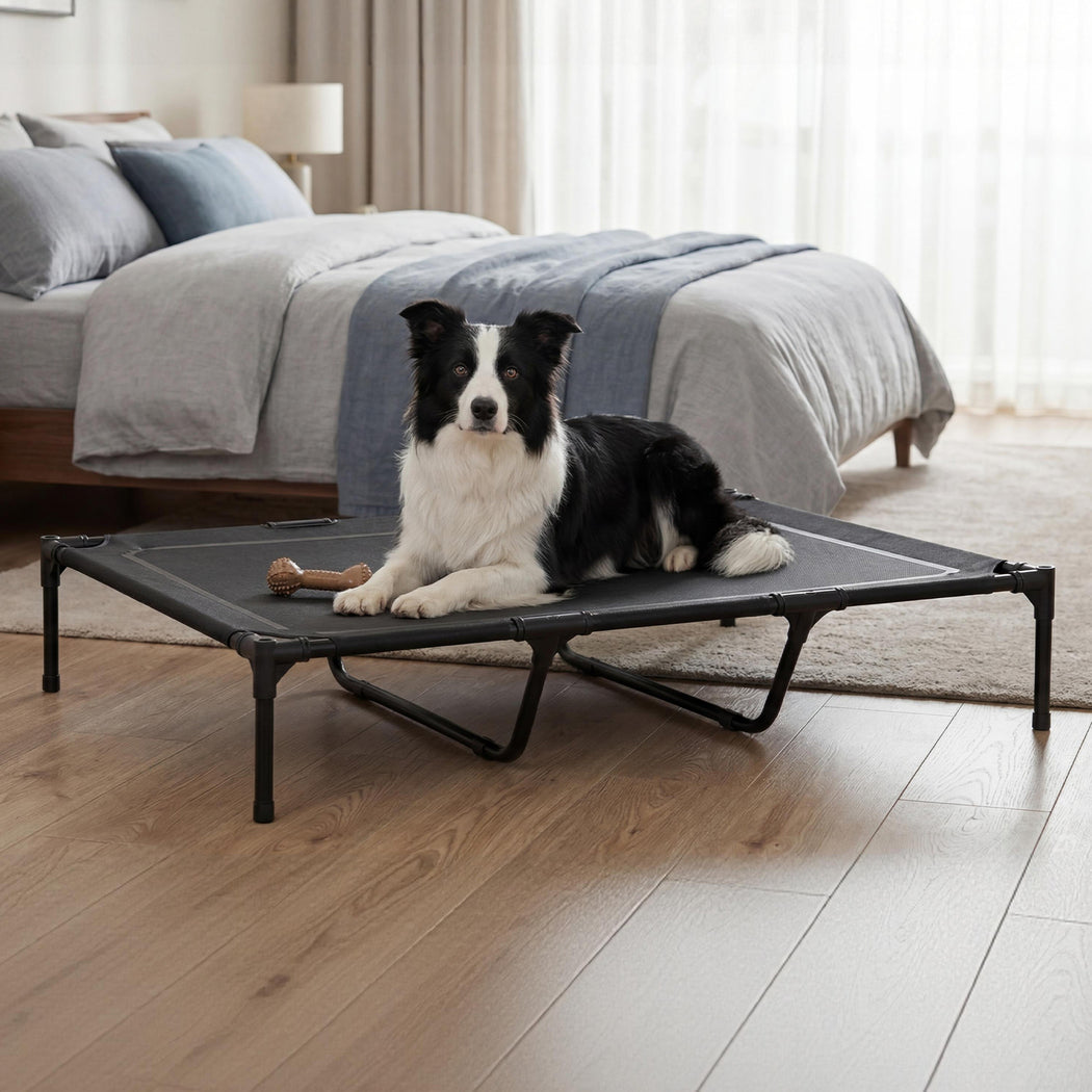 Pawz Elevated Dog Bed Heavy Duty Portable Cot  Waterproof Pet Raised Bed XL Size-2065254305828573190