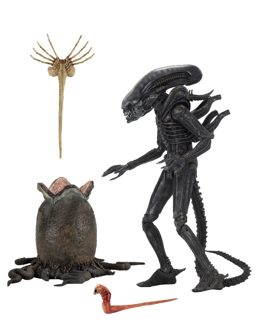 Aliens Big Chap 40th Anniversary Action Figure 7” Scale with Extras – Black
