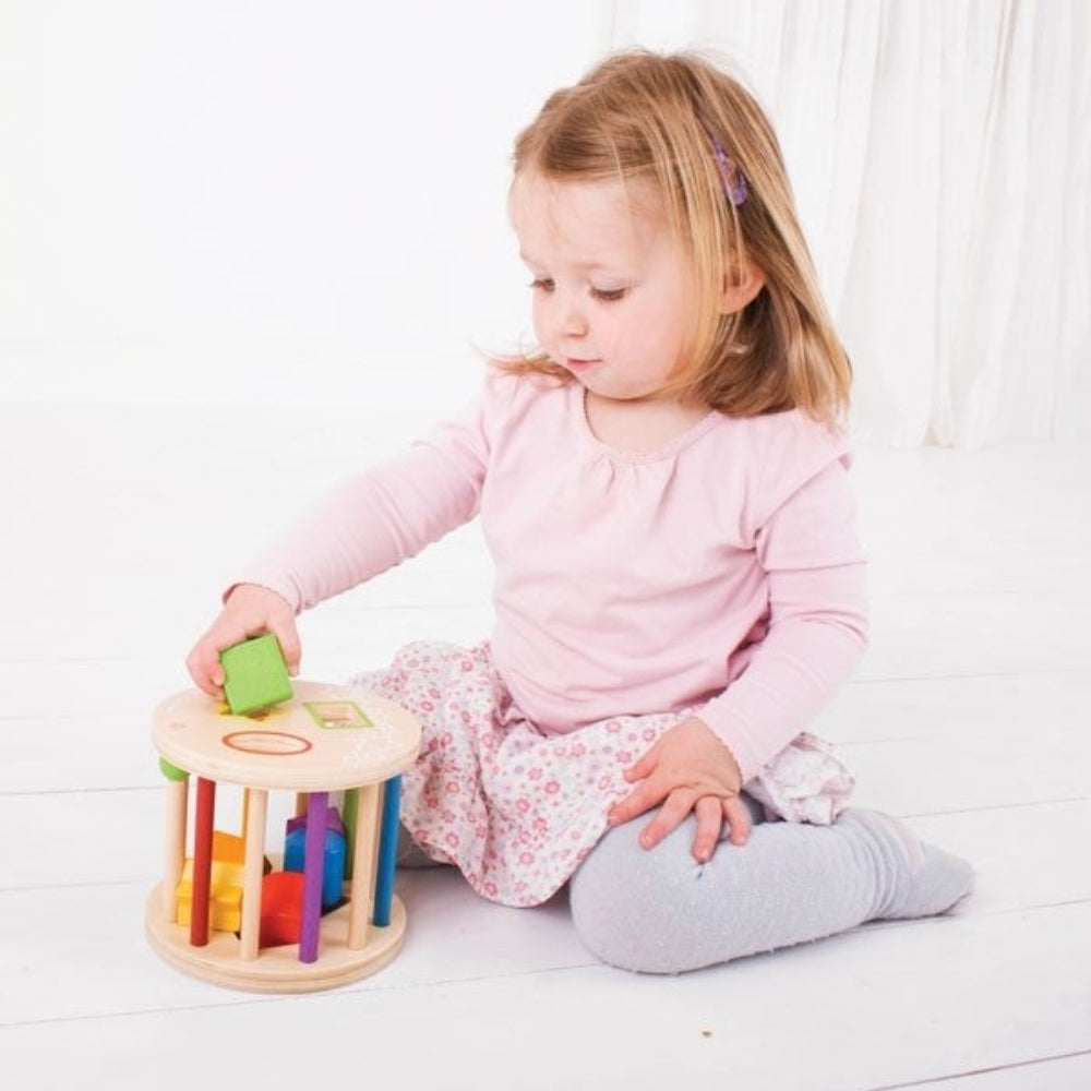 Bigjigs Toys First Rolling Shape Sorter Learning Toy for Toddlers