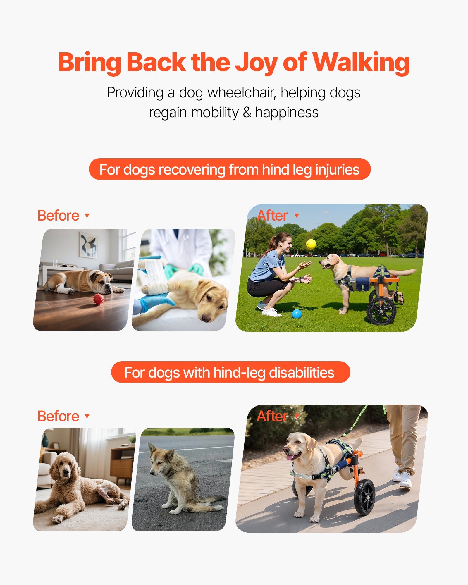 Dog Wheelchair Back Legs 2 Wheels Adjustable Cart Shock-Absorbing Wheels Medium