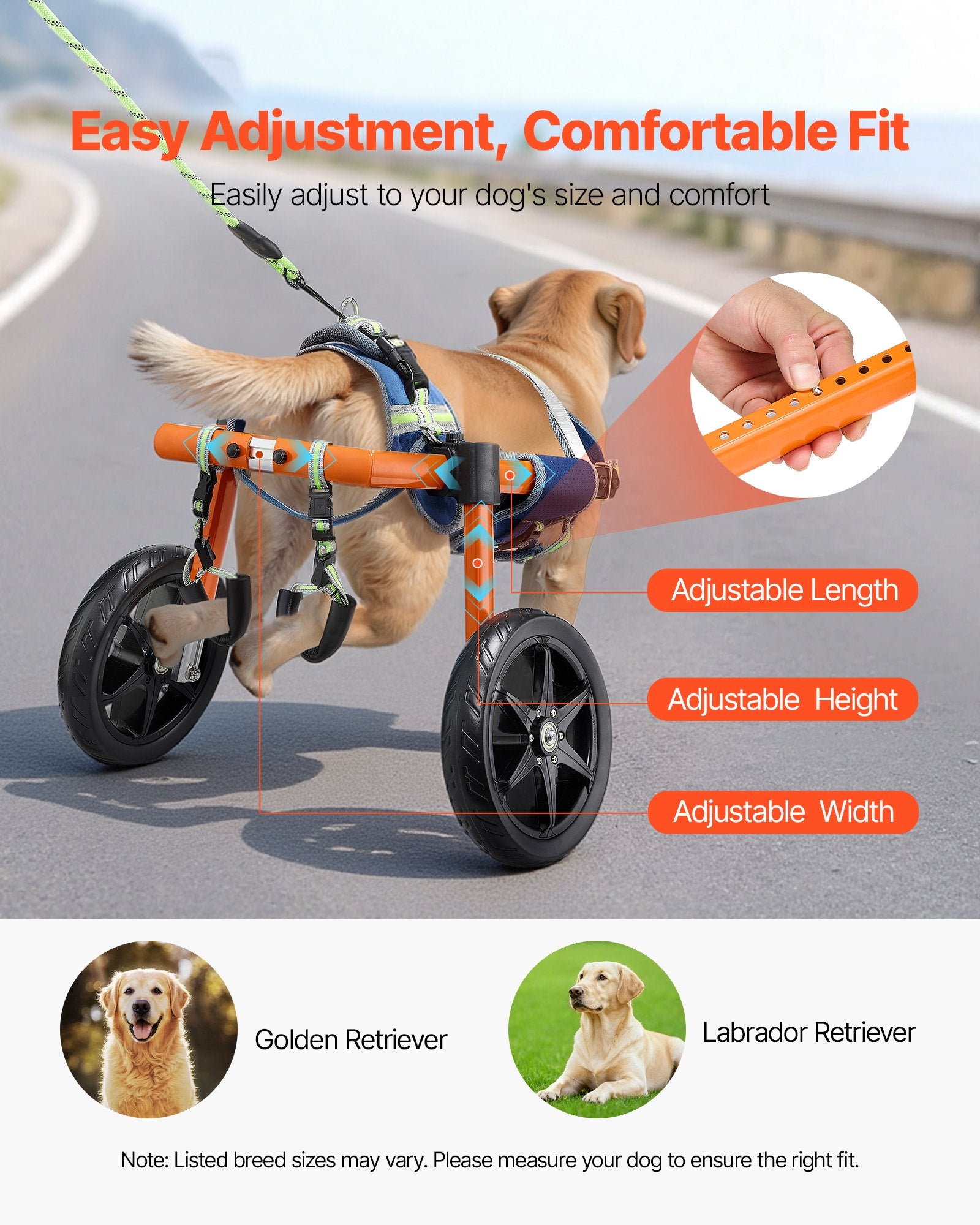 Dog Wheelchair Back Legs 2 Wheels Adjustable Cart Shock-Absorbing Wheels Medium
