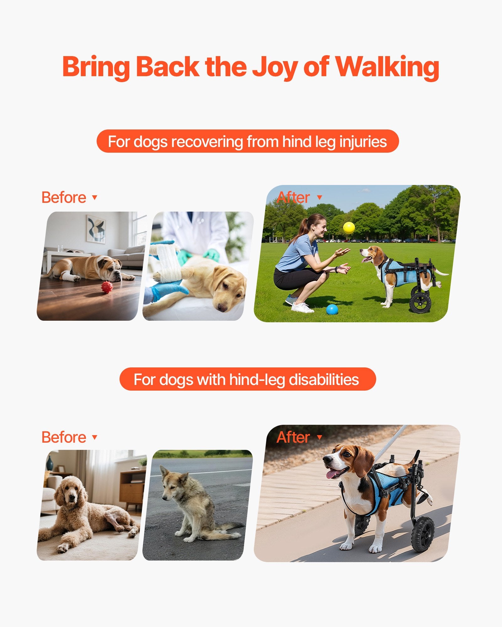 Dog Wheelchair Back Legs Adjustable 2-Wheel Pet Cart Shock-Absorbing Small
