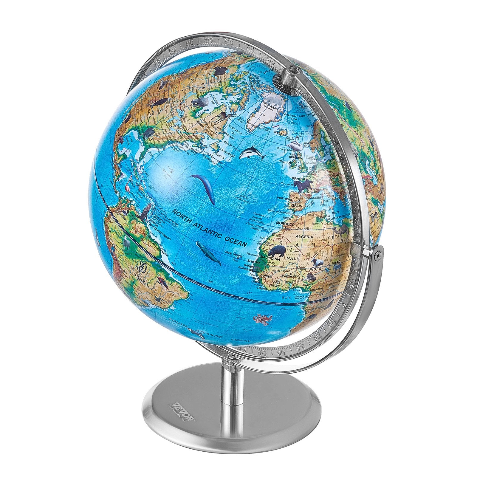 Interactive 254mm AR Educational Globe for Kids with LED Light and 720° Rotation