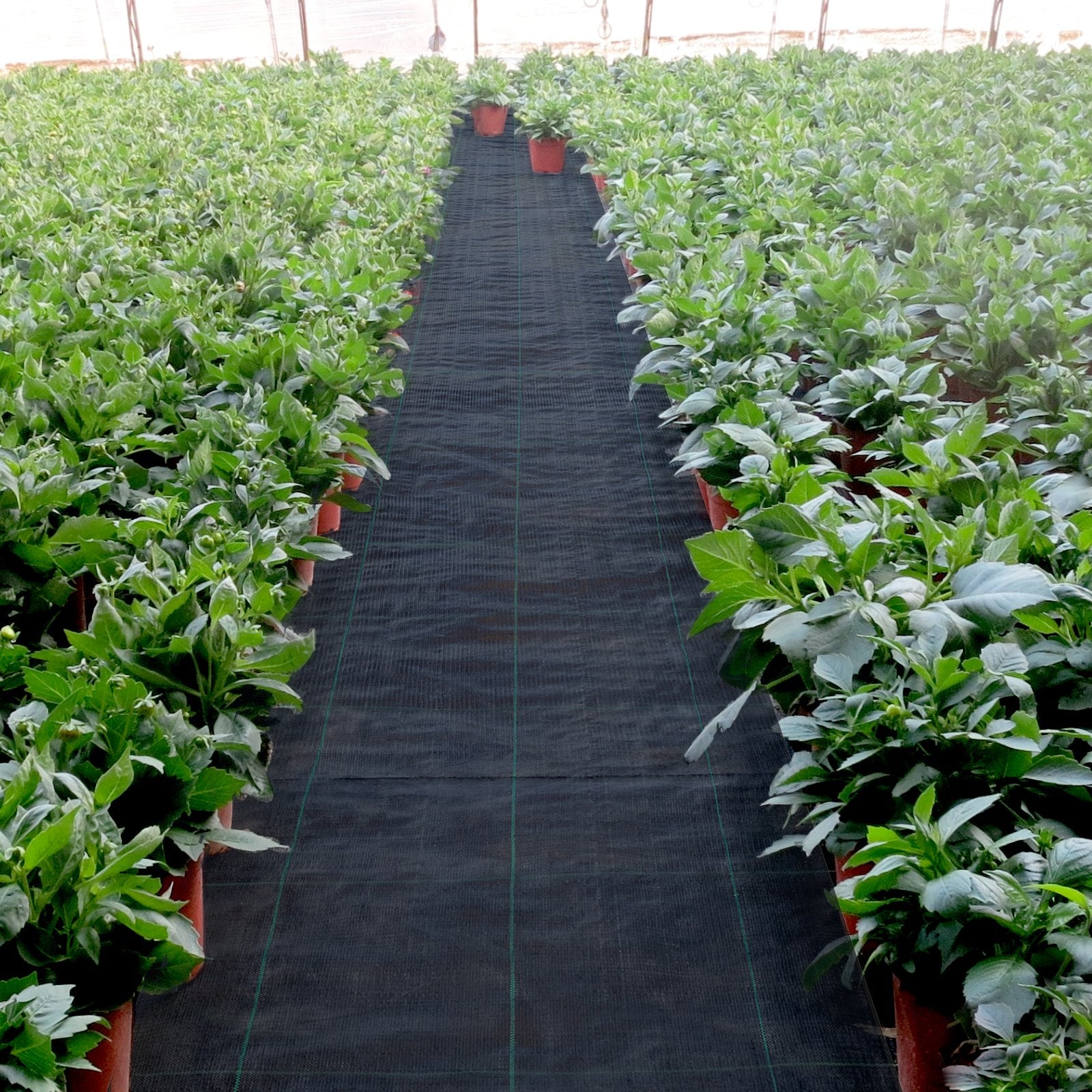 3FT x 50FT Heavy Duty Woven Weed Barrier Fabric High Permeability Ground Cover