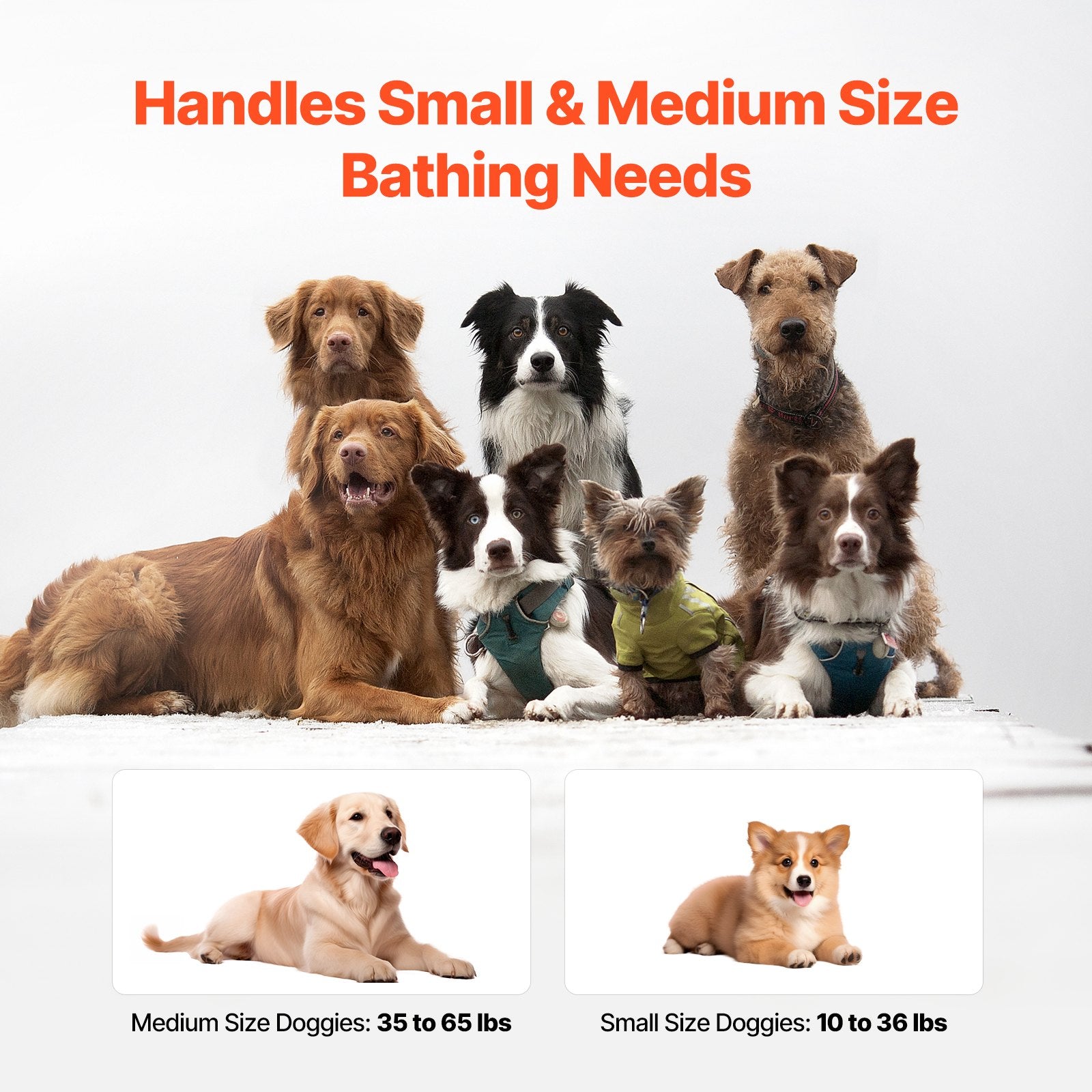 Portable Dog Bathtub Foldable Elevated Pet Shower Tub with Drainage Grey