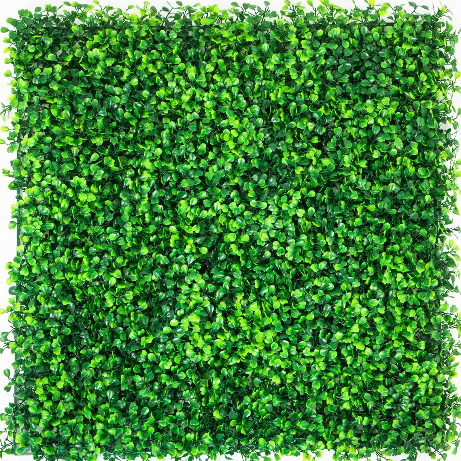 Artificial Boxwood Panels 6-Pack 50.8x50.8cm Hedge Wall Panels Indoor Outdoor