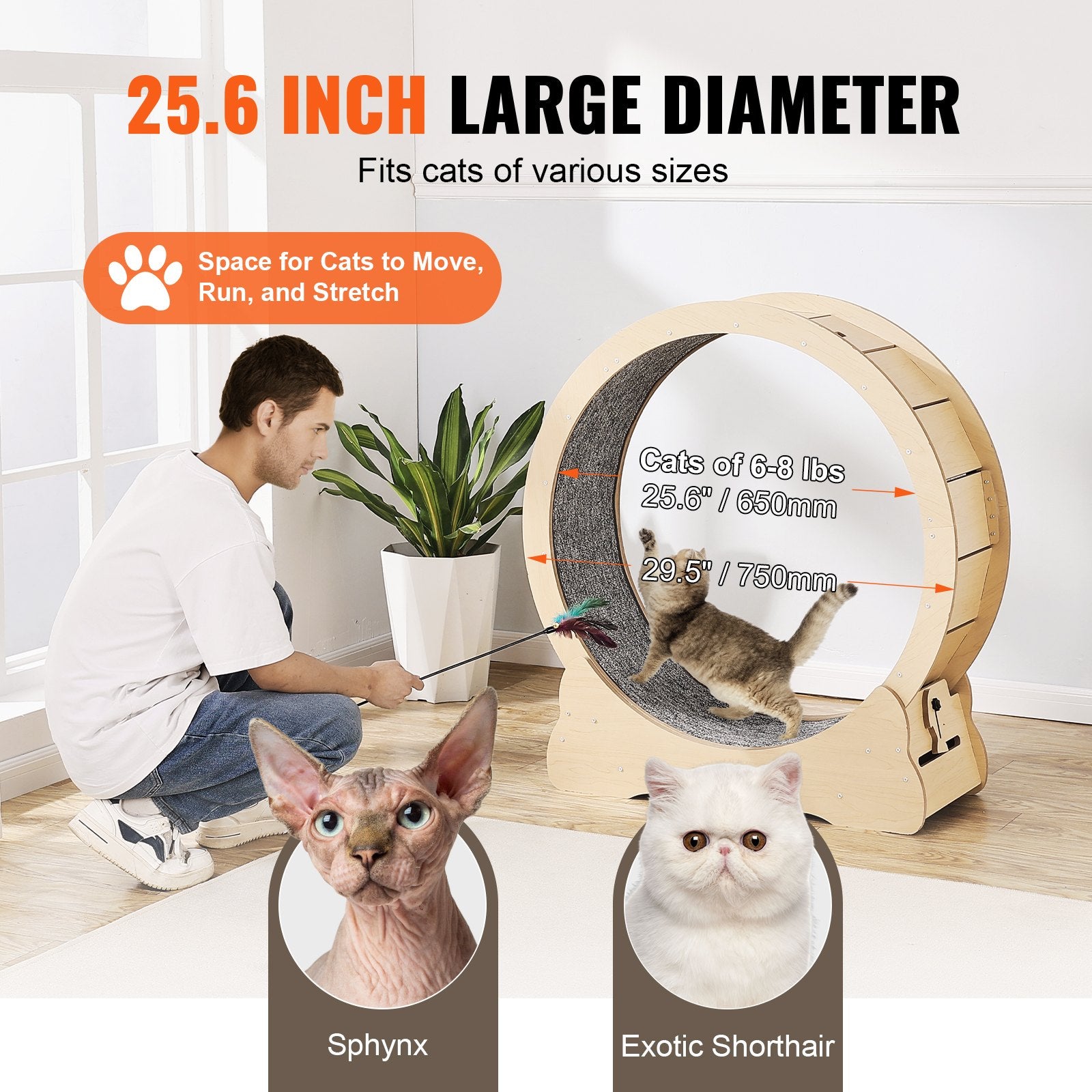 Cat Exercise Wheel 29.5in Large Treadmill Detachable Carpet Cat Teaser