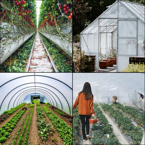 VEVOR 12x25 ft Greenhouse Polyethylene Film Plastic Cover for Gardening Use