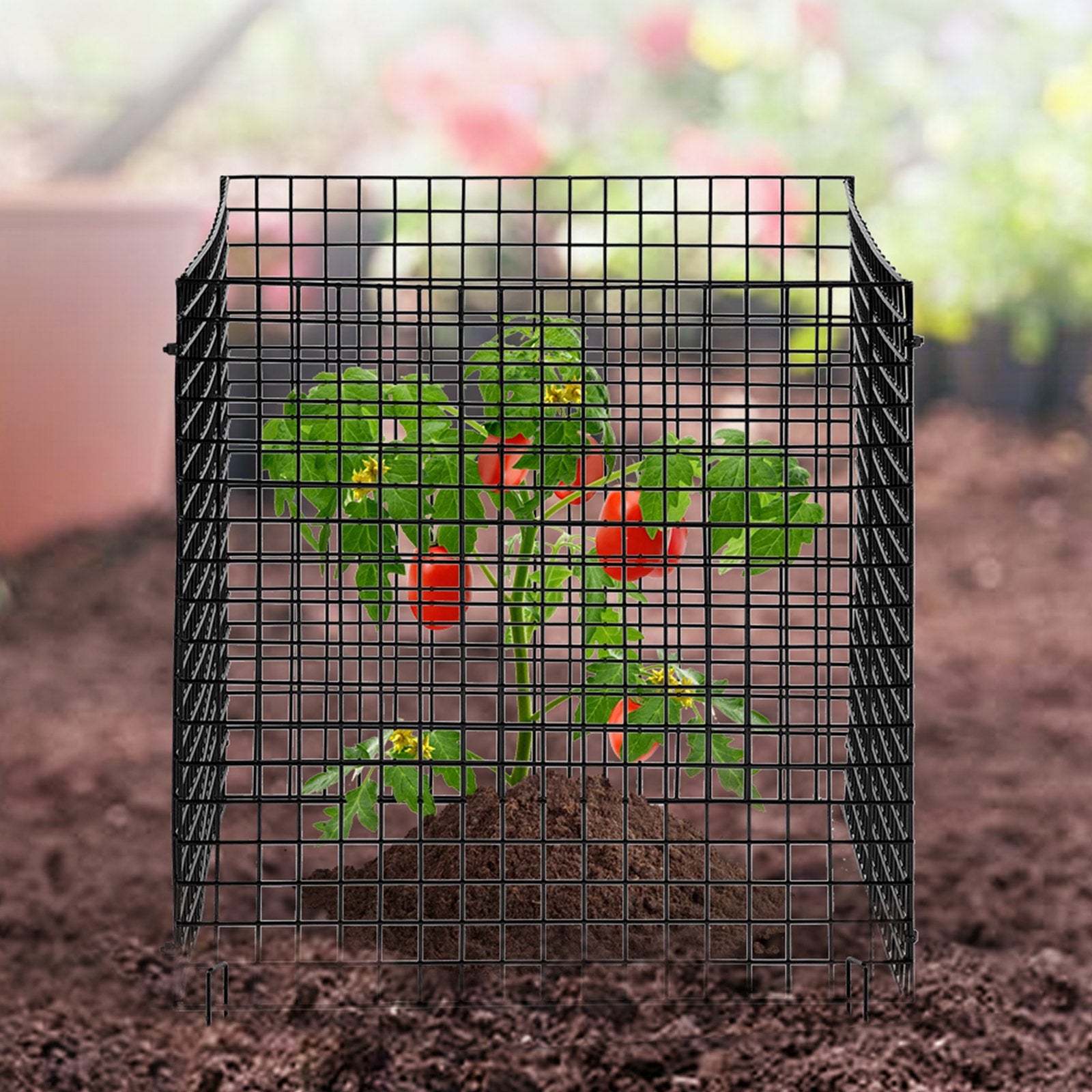 10-Pack Plant Protector 305x305mm Chicken Wire Cages for Outdoor Plants 40PCS