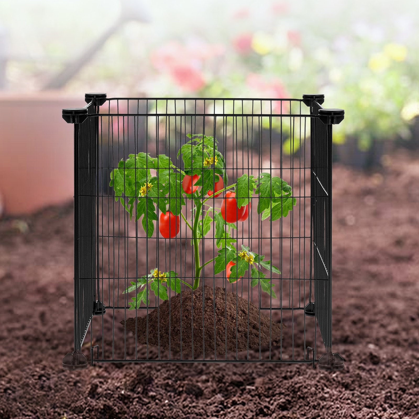 5 Pack Plant Protector from Animals, 390mm Chicken Wire Plant Cages Outdoor Mesh