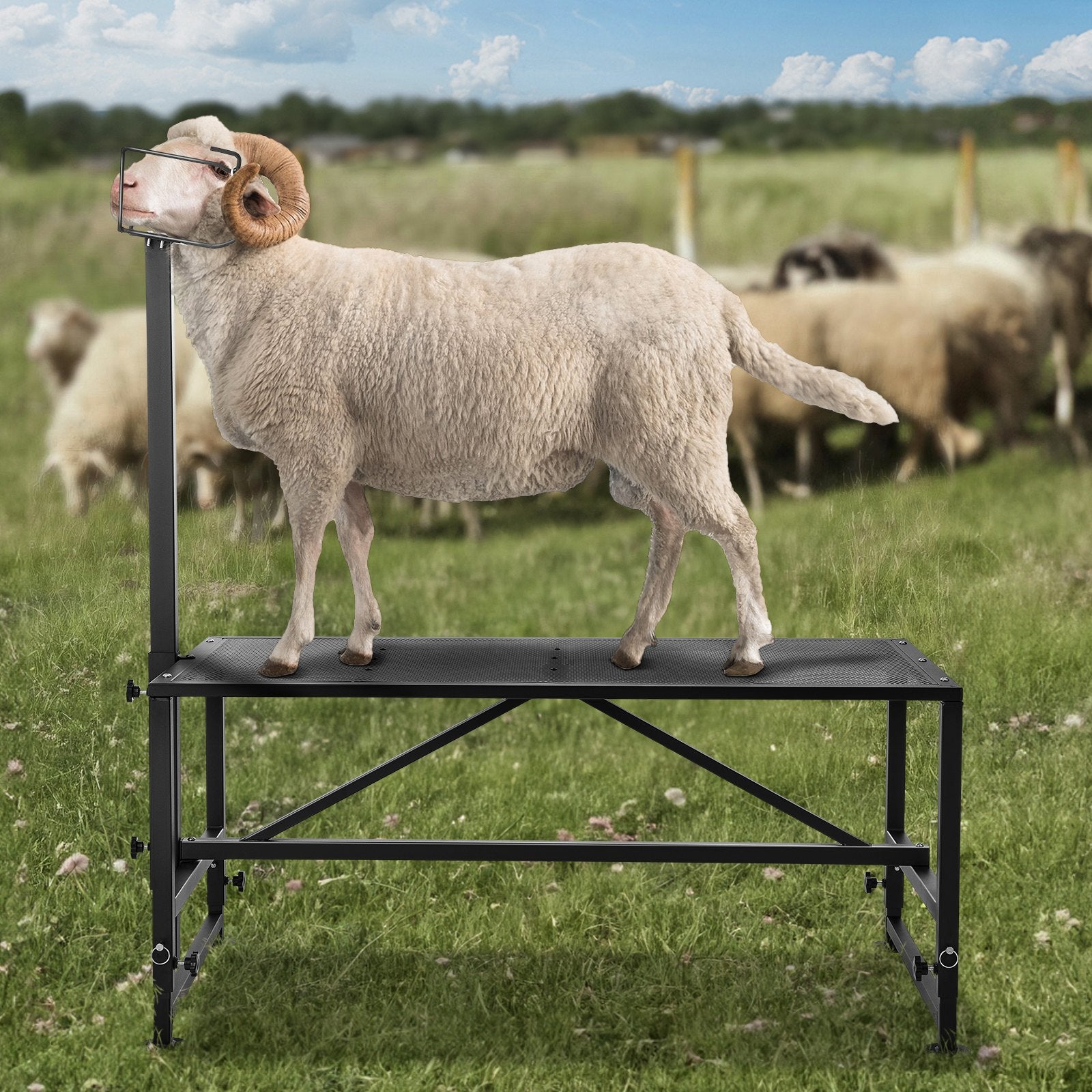 Goat & Sheep Stand 47x23 in Adjustable Livestock Milking Shearing Stand Black