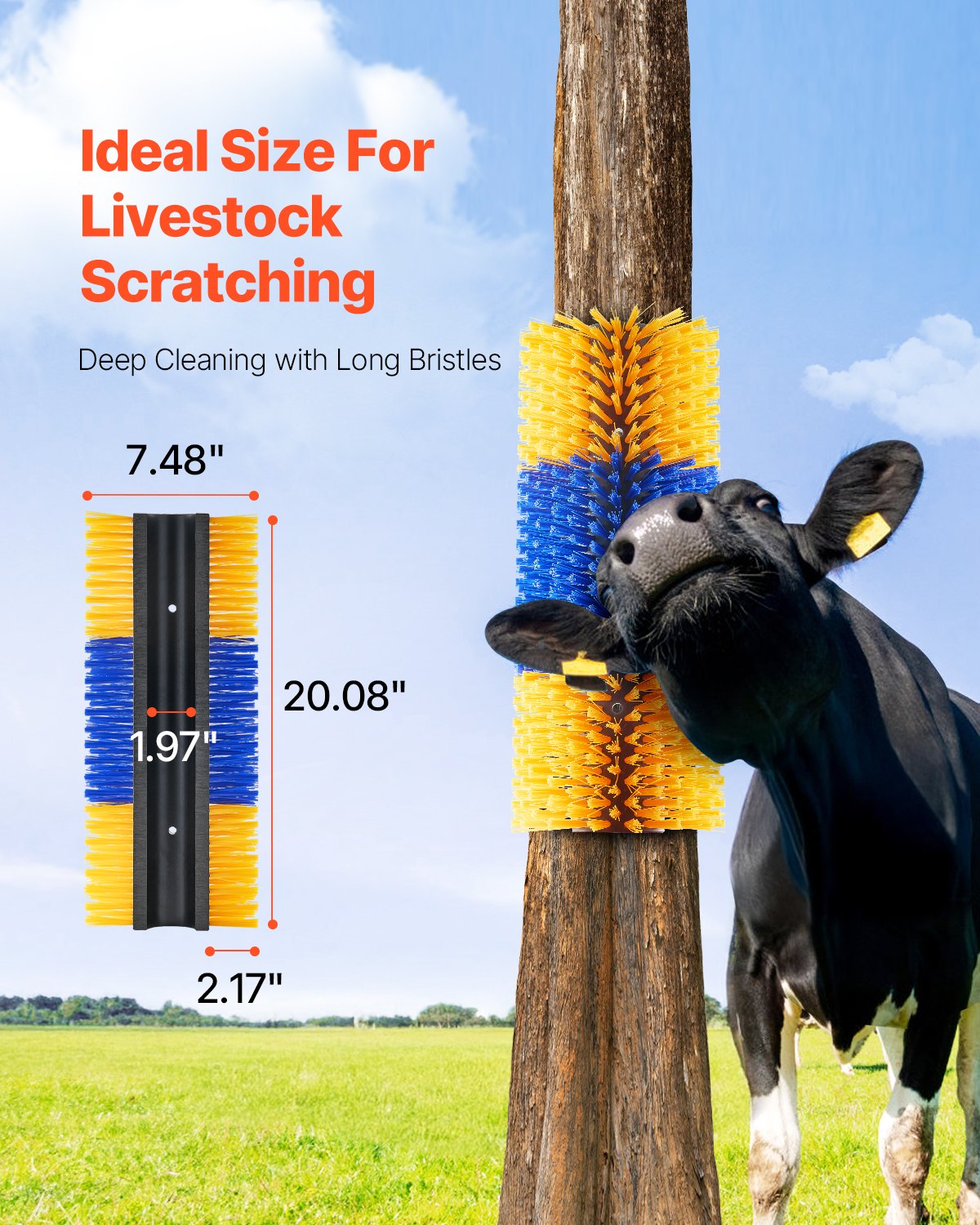 4Pcs Livestock Scratching Brush with 8 Screws, Yellow & Blue