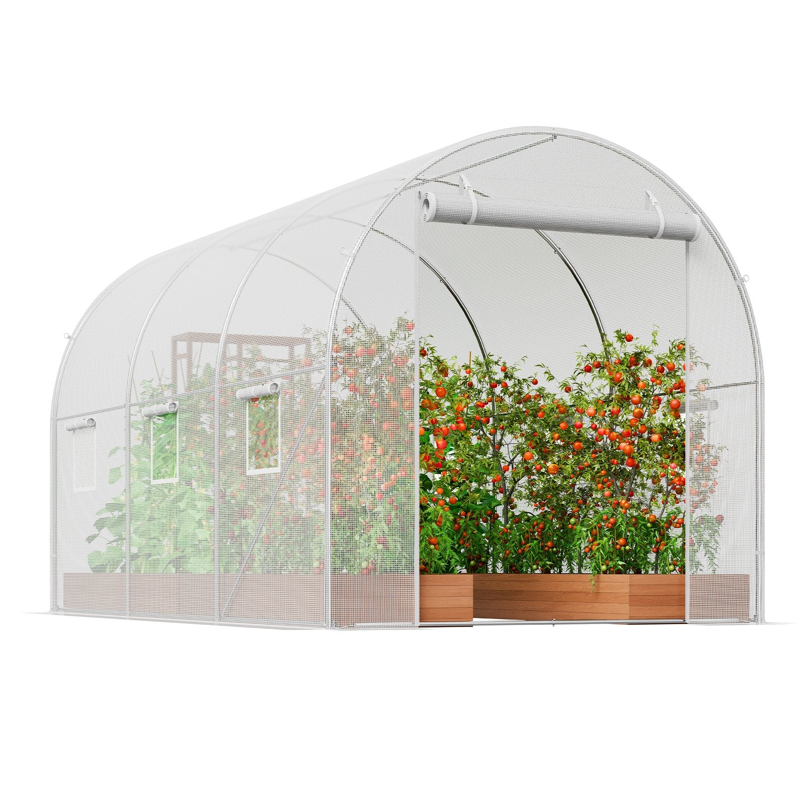 Walk-in Tunnel Greenhouse 9.6x6.4x6.2 ft, White PE Cover, 6 Windows