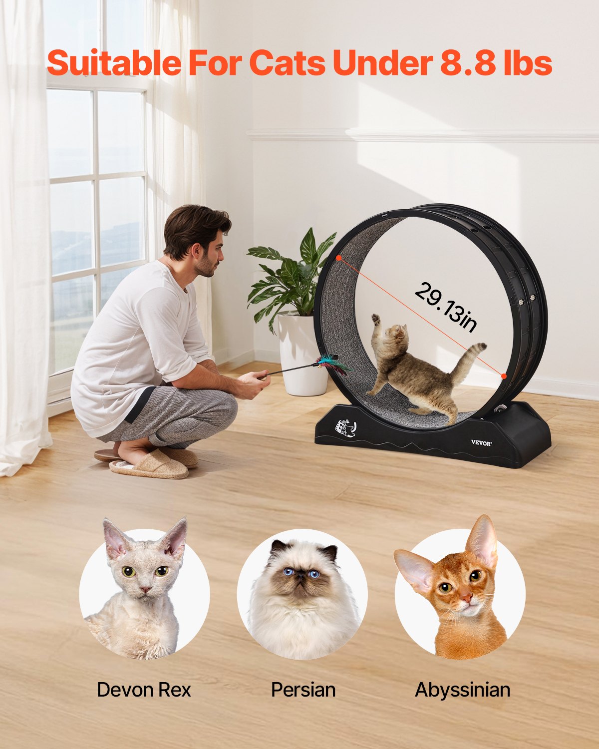 Cat Exercise Wheel 31.5in Large Running Wheel with Brake Carpeted Treadmill