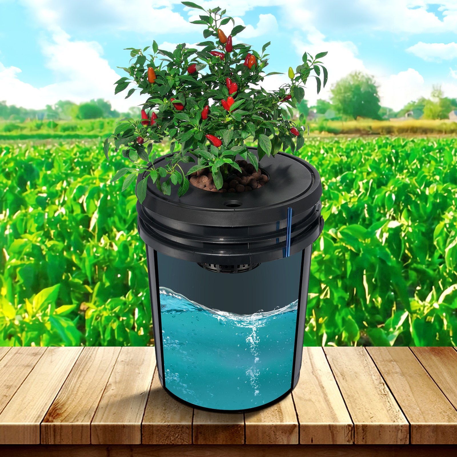 DWC Hydroponics Grow System 5-Gallon 4 Buckets Deep Water Culture with Air Pump