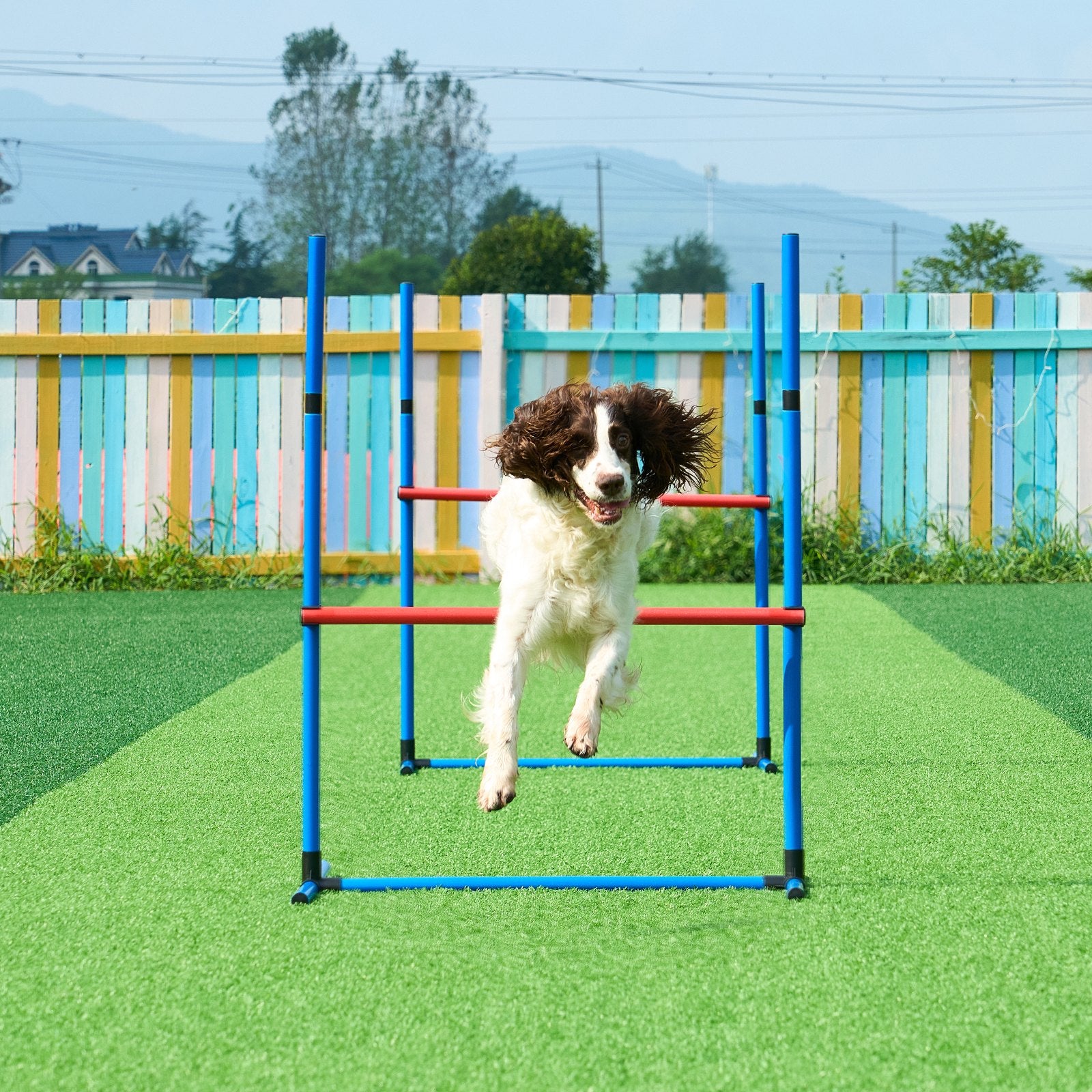 Dog Agility Training Set, 7 PCS w/ Hurdles, Weave Poles, 2 Tunnels, 3 Bags