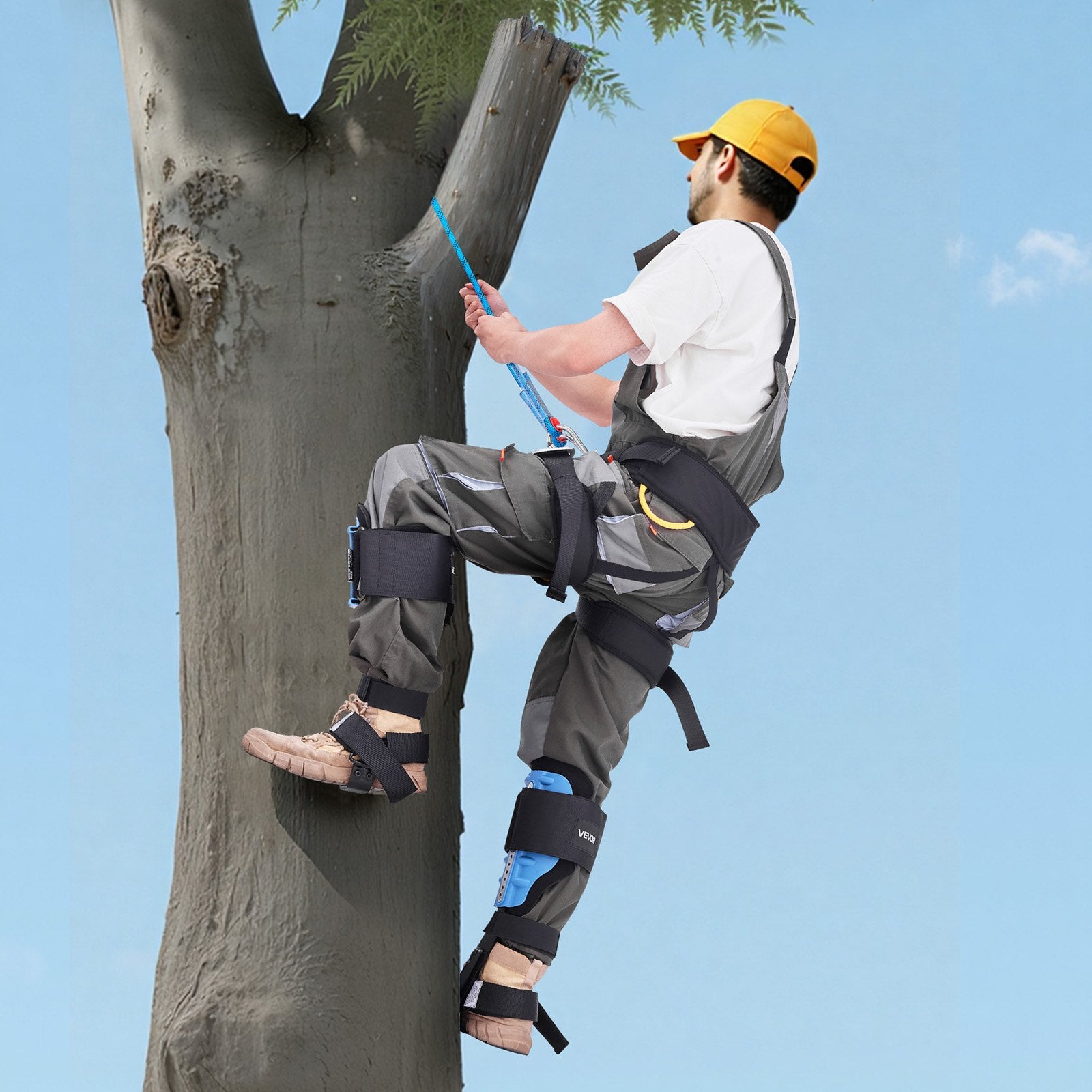 Tree Climbing Spikes Adjustable Straps Padding 159kg Load Capacity Steel