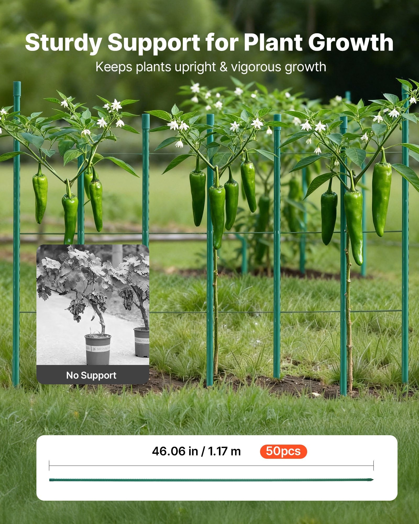 Garden Stakes 50 Pack 1170mm Plastic-Coated Metal Tomato Stakes Pointed Ends