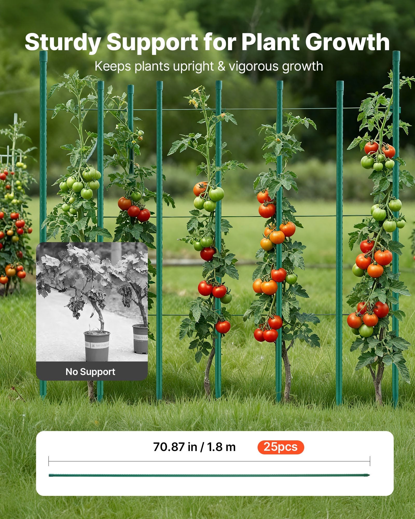 Garden Stakes 25 Pack 1800mm Plastic-Coated Metal Tomato Stakes Pointed Ends